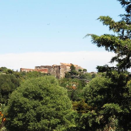 Magnifique Appartement Proche Centre Collioure Exteriér fotografie